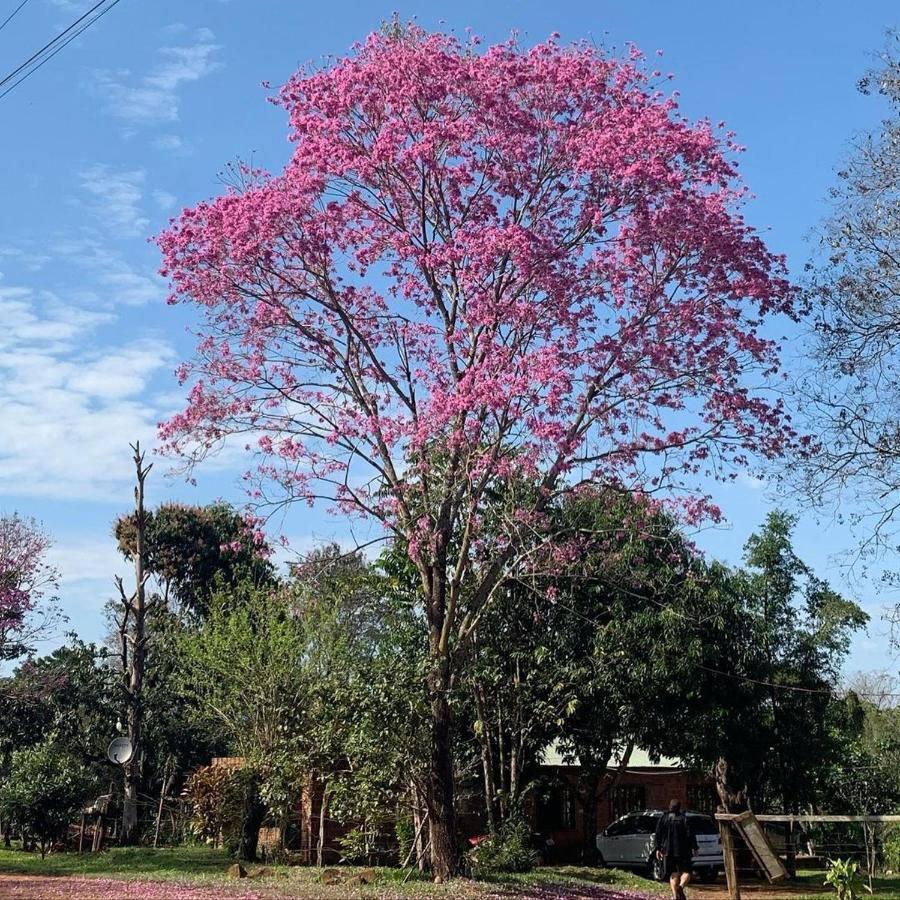 La Nona Porto Iguaçu Exterior foto